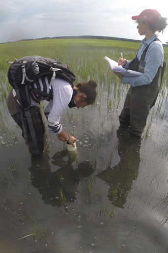 Volgenau professor, student in Chesapeake Bay
