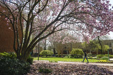 Fairfax Campus