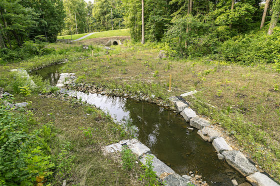 Stream Restoration project by Facilities runs from Patriot Circle/Aquia Creek Lane to Mason Pond. Photo by Cristian Torres/Office of University Branding